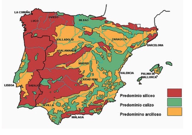 Tipos de suelos en los que se cultiva viñedo en España.