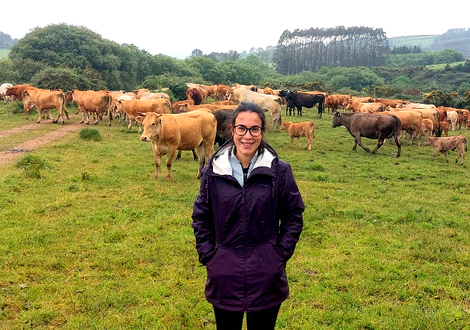 Lidia, coas vacas da gandería familiar en Espiñarcao (Abadín)