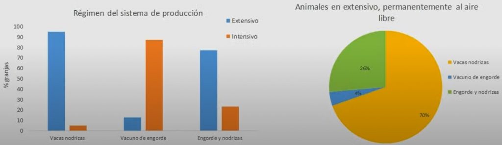 Informe Provacuno sector vacuno de carne en España5