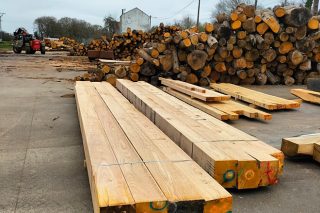 Estudo sobre o comportamento da madeira de castiñeiro verde en construción