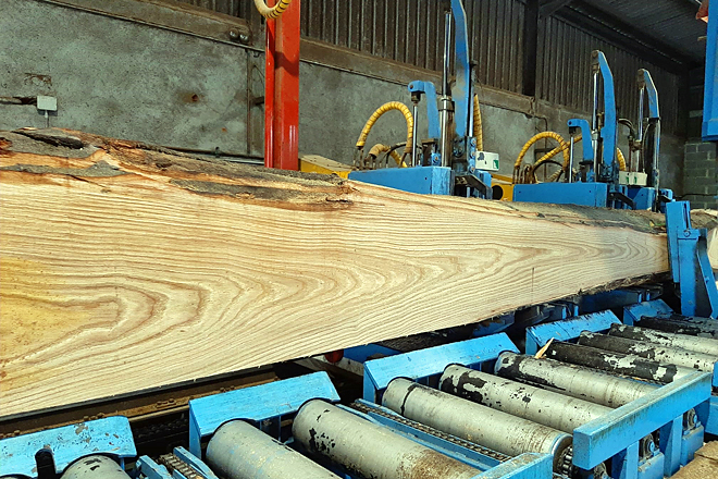 As entresacas de frondosas galegas demóstranse con potencial para madeira de serra