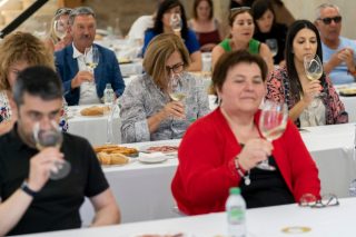Entreviños, a feira dos viños galegos máis singulares os días 4 e 5 de marzo en Vigo