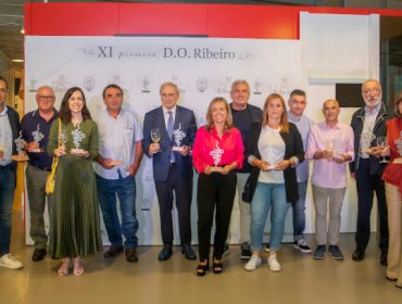 Galardoados nos premios D.O. Ribeiro 2022