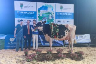 Okarina, de Finca La Asunción, eríxese Vaca Gran Campioa do Open Feiradeza 2022