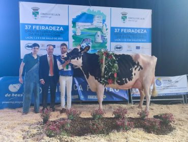 Okarina, de Finca La Asunción, eríxese Vaca Gran Campioa do Open Feiradeza 2022
