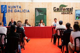 A marca Pino de Galicia acada máis de 20 empresas adheridas nos primeiros meses de lanzamento do selo