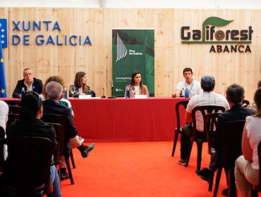 A marca Pino de Galicia acada máis de 20 empresas adheridas nos primeiros meses de lanzamento do selo