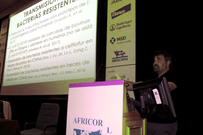 Luis Miguel Jiménez, durante su intervención en las últimas jornadas organizadas por Africor Lugo y Vaca Pinta