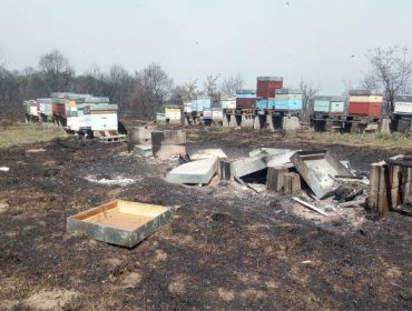 Lista das 128 explotacións apícolas que recibirán axudas da Xunta polos danos dos lumes
