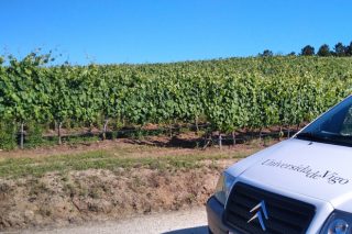 Investigadores galegos lideran un proxecto para reducir o uso de pesticidas na viticultura europea
