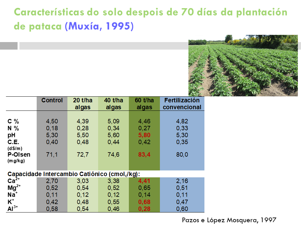 Tabla con datos característicos del suelo 70 días después de la plantación de la patata