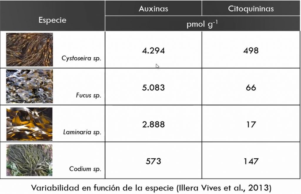 Variación de auxinas e citoquininas en función de la especie