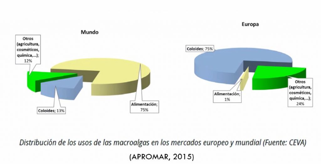 Gráficos sobre la distribución de usos de algas marinas
