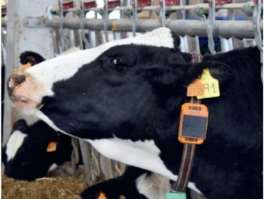 Axudas para a monitorización completa das ganderías de leite e de carne