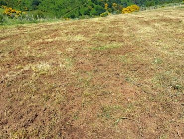 Unións Agrarias pide unha liña de axudas para as ganderías da montaña de Lugo afectadas pola praga da ratatoupa