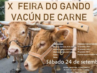 Friol volve celebrar a Feira de Gando Vacún de Raza Rubia Galega o 24 de setembro