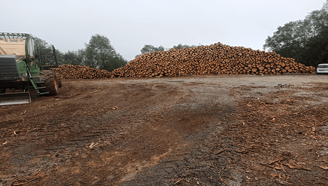 La madera aguanta el buen momento de precios, a la espera de un otoño incierto