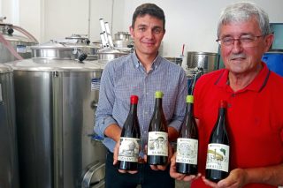 Pagos de Brigante, un proxecto para profesionalizar os viños de Betanzos