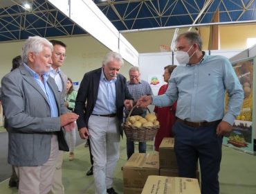Alimagro, a cita para o sector da pataca da Limia, este fin de semana en Xinzo