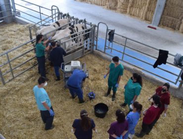Granxa Experimental de Leite da Deputación de Lugo: Un motor para a innovación no sector lácteo