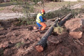 A “Estratexia de Seguridade e Saúde no Traballo de Galicia: Horizonte 2027” centrarase con especial incidencia nos sectores forestal e agrario