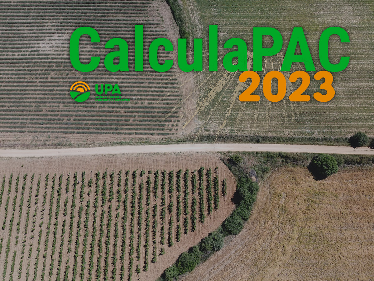 imagen-calculaPAC-2023-baja_1