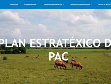 Nova web sobre a PAC 2023 do Fondo Galego de Garantía Agraria