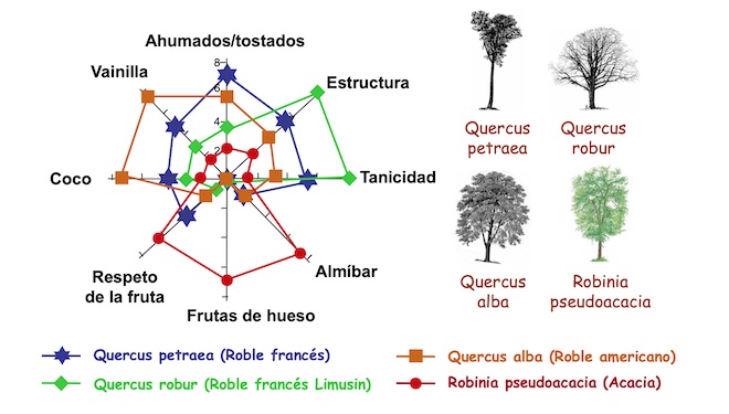Influencia sensorial de los diferentes orígenes botánicos de la madera.