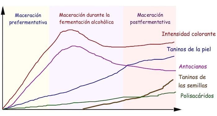  Cinética de extracción de los compuestos fenólicos a lo largo de la fermentación y maceración.