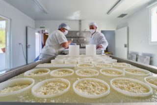 Xornadas en Lugo sobre ingredientes e aditivos para a industria láctea alimentaria