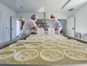 Xornadas en Lugo sobre ingredientes e aditivos para a industria láctea alimentaria