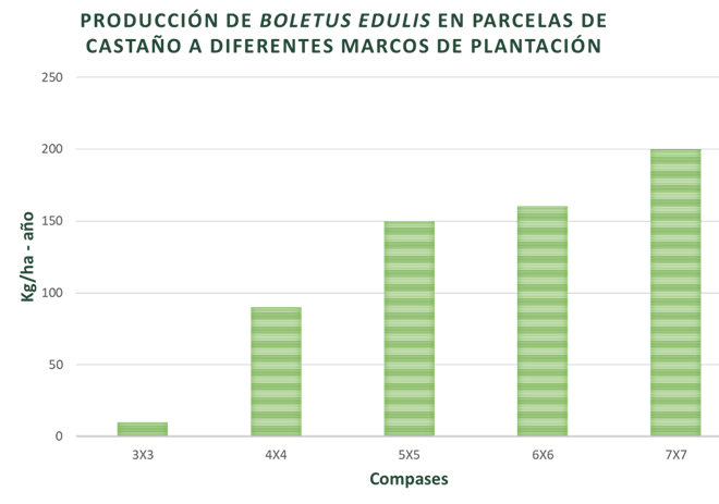 Fonte: Proxecto I+D+i Hifas dá Terra e Centro de Investigación Forestal de Lourizán (1996-2.000).