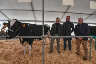 A Xunta volverá convocar en 2023 as axudas para certames de gando bovino selecto 