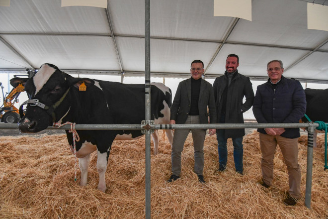 A Xunta volverá convocar en 2023 as axudas para certames de gando bovino selecto