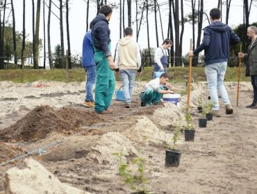 Curso de formación en Lugo para novos emprendedores no agro