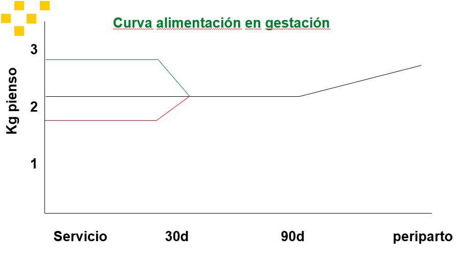 Curva de alimentación en xestación. Fonte: Ignacio Ortolani