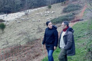 Medio Rural da Deputación de Lugo apoia un proxecto de silvopastoreo para consolidar a revitalización de Vieiros, en Quiroga