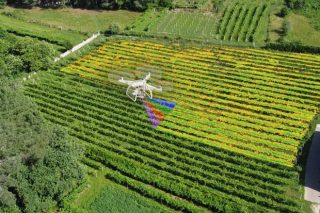 Vitidron, viticultura de precisión con drons en Galicia