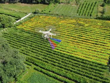 Vitidron, viticultura de precisión con drons en Galicia