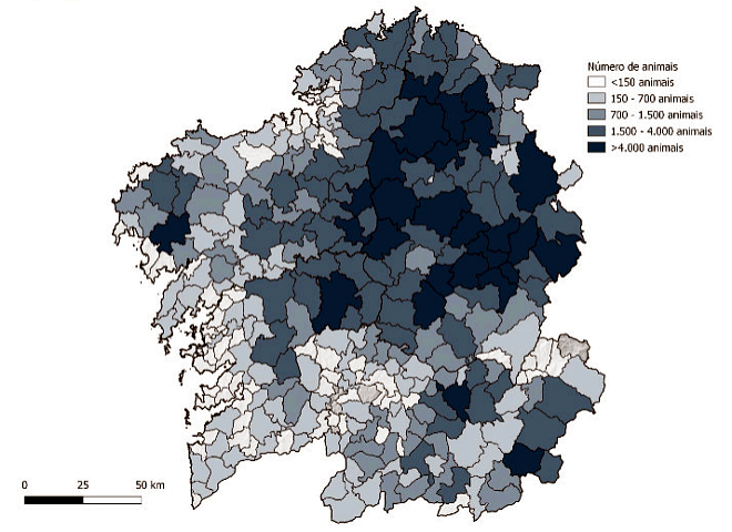 mapa distribución dos animais de produción de carne de vacún por concellos
