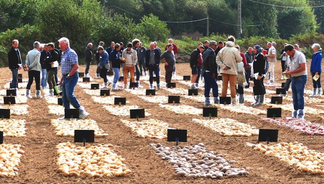 Una de las jornada de divulgación de las nuevas variedades de siembra de patata realizada por Bretagne Plants.