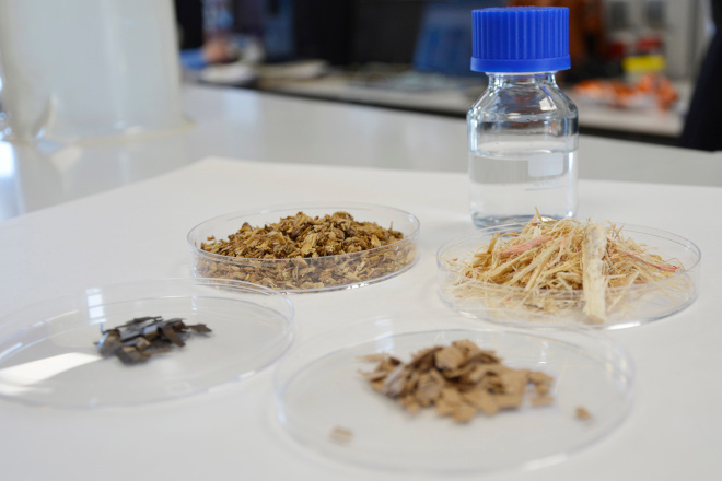 Unha tese da Universidade de Vigo avanza cara un mellor aproveitamento da biomasa