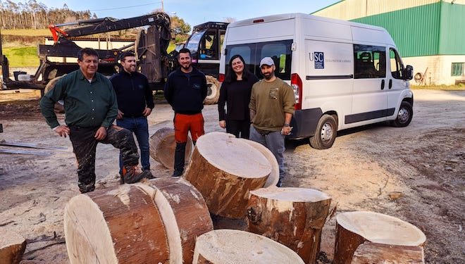 Estudian el uso de madera de eucalipto para barricas de vino