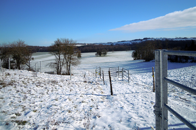 En enero y febrero la nieve es permanente y las vacas están confinadas en los establos