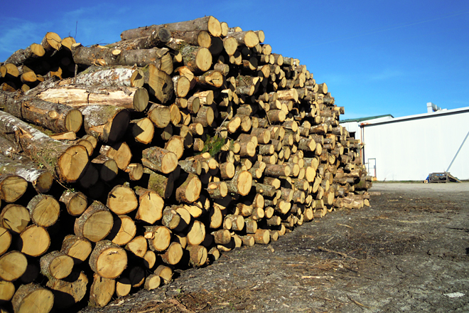 Entre o 60 e o 70% da madeira que transforman procede dos montes da comarca na que están asentados