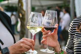 Novo procedemento oficial para verificar a aptitude dos viños galegos con Denominación de Orixe