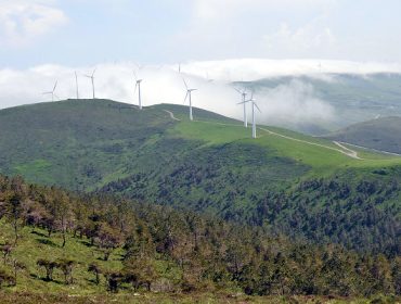 Propoñen pagos por conservación a comunidades de montes para garantir a biodiversidade da Rede Natura 2000 en Galicia