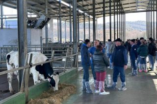 700 gandeiros de toda a Península asisten á xornada de portas abertas en SAT Lodos e Pérez, na Pastoriza