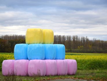 Delagro anima aos gandeiros a adquirir plásticos de ensilado de cores para sumarse á loita contra o cancro