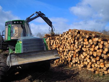 A Xunta adxudica vinte lotes de madeira por máis de 800.000 euros na provincia de Pontevedra